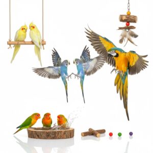 Vodelsitter Leonberg - Liebevolle Betreuung